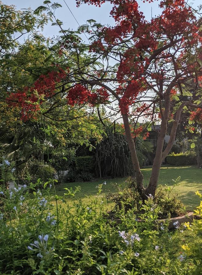 The Residence Villa Chobe Касане Екстер'єр фото